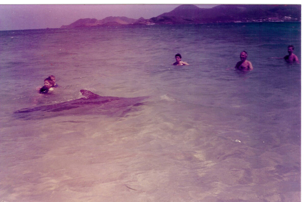 Attached picture Dolphin at La Belle Creole 1990.jpg